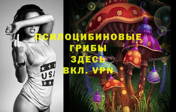 индика Алексеевка