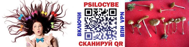 Галлюциногенные грибы Magic Shrooms  Купить где  Вязники 