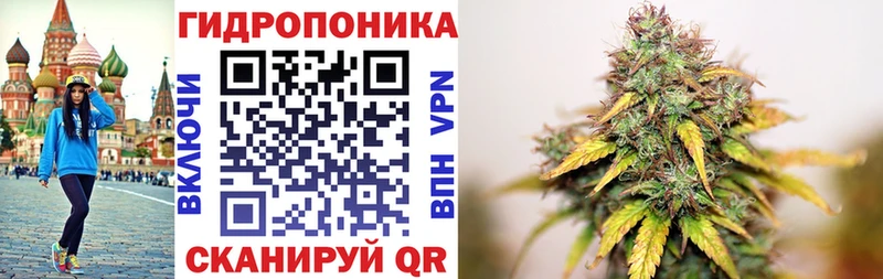 Канабис Bruce Banner Вязники