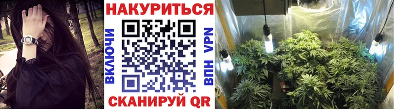 Купить где  Вязники  Конопля гибрид 